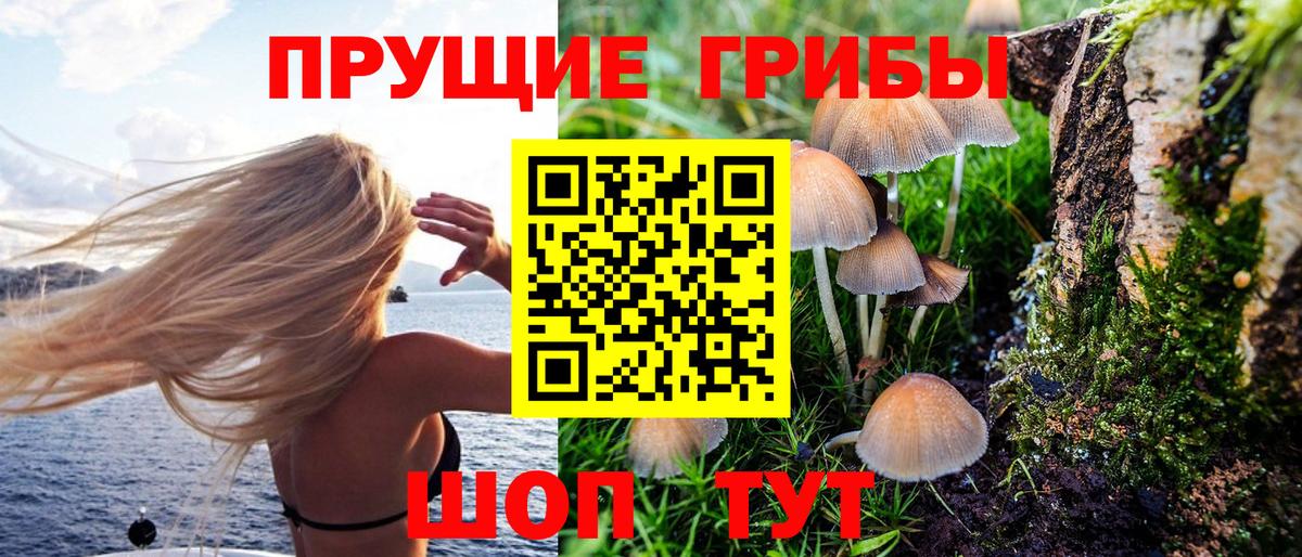 Псилоцибиновые грибы мухоморы Новоалександровск
