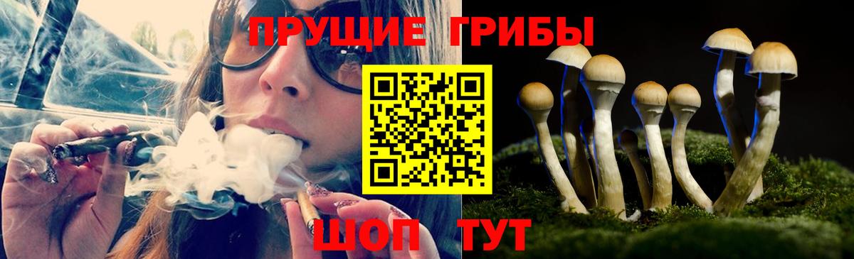 Псилоцибиновые грибы мухоморы  Вход с VPN  Новоалександровск 